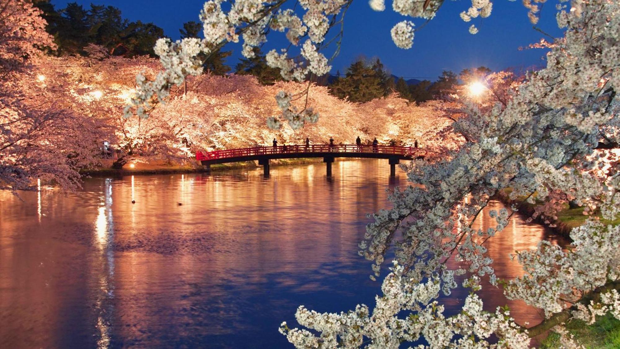 Ryumontei Chiba Ryokan Kazuno Bagian luar foto